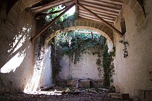 Ermita de San Andres-Briones-12890