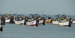 Fishing Boats at Rameshwaram