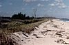 Florida reed wild sea sanc.jpg