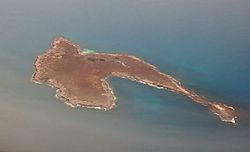 Hammerhead Shark Island (Stickney) (22502006521).jpg