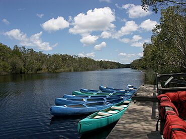 Harry's Hut Kayaks - panoramio.jpg
