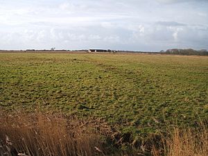 Heigham Holmes (National Trust) - geograph.org.uk - 261112