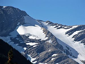 Jackson Glacier remnant
