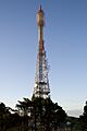 Kordia TV mast, Mount Kaukau, New Zealand