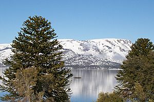 Lago Aluminé.jpg