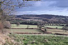 Long Dole Wood and Meadows SSSI.JPG