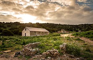 Lynton Convict Hiring Depot, Yallabatharra