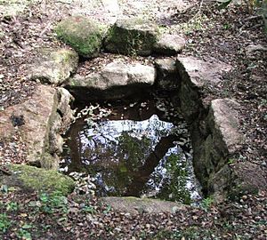 Madron Well - geograph.org.uk - 237874.jpg