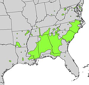 Malus angustifolia range map.jpg