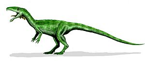 Masiakasaurus BW