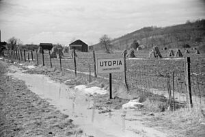 Melting snow, Utopia, Ohio, 8a12994a