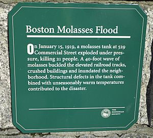 Molasses Flood Historical Marker