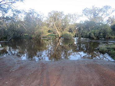 Moore River at Regans Ford, Western Australia, August 2022 10.jpg