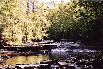 Normanskill Creek in Duanesburg.jpg