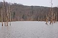 North Bend Lake