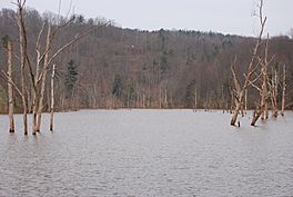 North Bend Lake in 2008