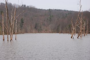 North Bend Lake