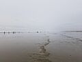 Low tide beach under overcast sky with tiny silhouettes of people in the distance