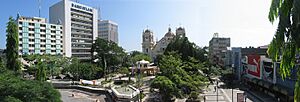 Panoramica san pedro sula