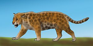 Panthera onca augusta life restoration