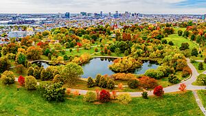 Patterson Park October Aerial