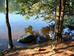 Pawtuckaway campsite