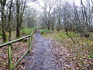 Poulton Wood, Aldington 3