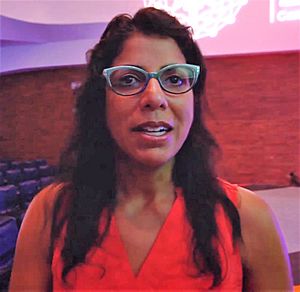 Raissa D'Souza at Conference on Complex Systems 2017