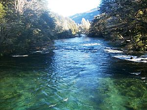 Rio Manso