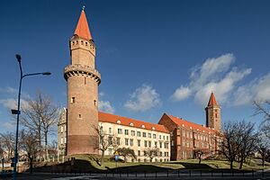 SM Legnica Zamek (5) ID 593146