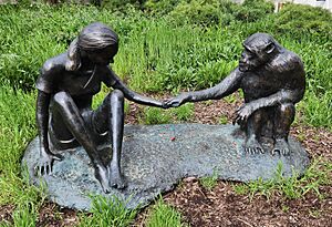 Sculpture of Jane Goodall and David Greybeard