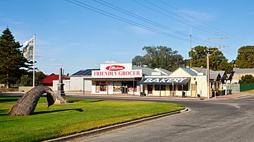 Shops, Elliston, 2017 (01).jpg