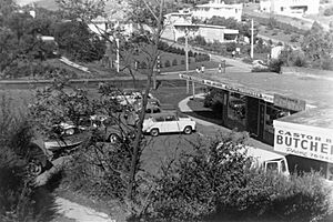 Shops at Castor Bay (1960s)