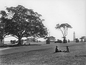 StateLibQld 1 115428 Picnic area at Cleveland Point, ca. 1938
