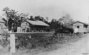 StateLibQld 1 40183 Railway Station at Cooroy, Queensland, 1911