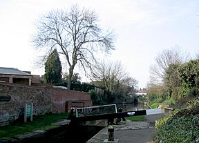 Stratford-upon-Avon Canal Locks.jpg