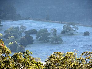 Sydney frosty morning