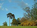 The grounds of Barnsdale Hall and hotel - geograph.org.uk - 1276502