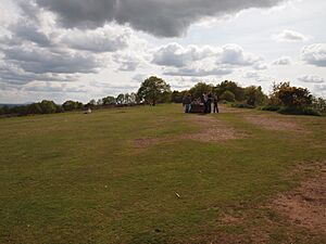 Top of Kinver Edge
