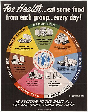 USDA - Basic 7 Food Groups