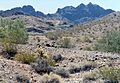 View of Trigo Mountains Wilderness, AZ