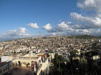 View on the old medina of Fes