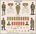 WW2 Japanese Army Uniforms Rank insignia Collar patches ornaments Poster chart 1944 US Government National Archives NARA Unrestricted Public domain 44-pa-1139 cropped