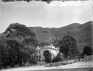 W H Levin's house and drive from Tinakori Rd