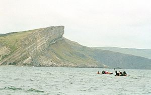 Worbarrow and Gad Cliff - geograph.org.uk - 135622