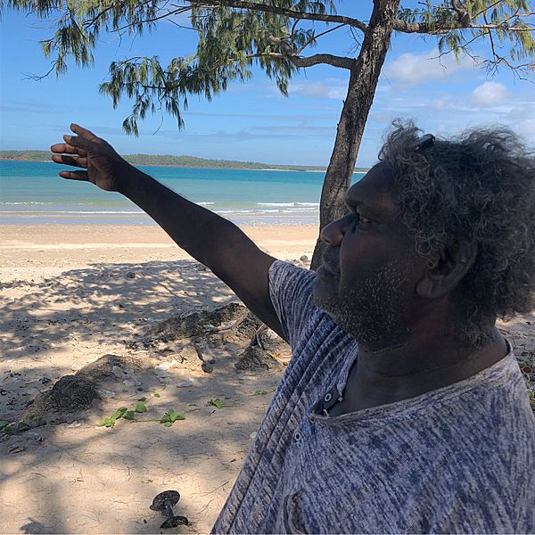 Image Wukun Wanambi at Shady Beach, Yirrkala, Northern Territory