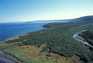 Побережье Охотского моря. Ольский участок