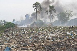 1915397-garbage-The Gambia