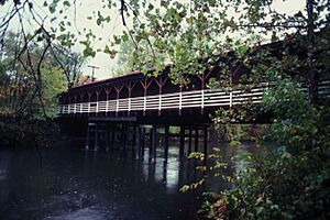 ARLINGTON BLVD COVERED BRIDGE, TRUMBULL COUNTY