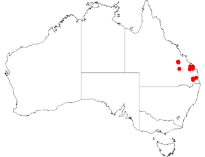 "Acacia brachycarpa" occurrence data from Australasian Virtual Herbarium